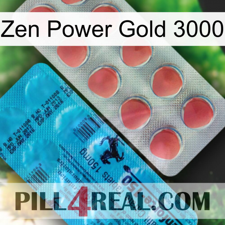 Zen Power Gold 3000 new14